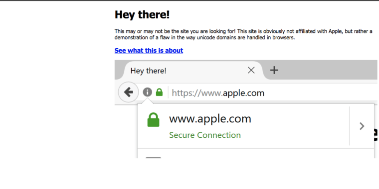 photo of Chrome, Firefox, and Opera users beware: This isn’t the apple.com you want image