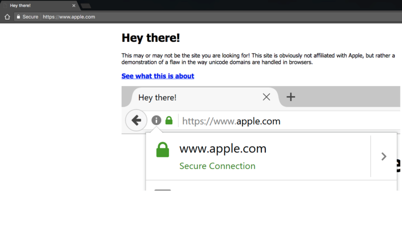 This is how a Chrome 57 displays https://www.xn--80ak6aa92e.com/. Note the https://www.apple.com in the address bar.