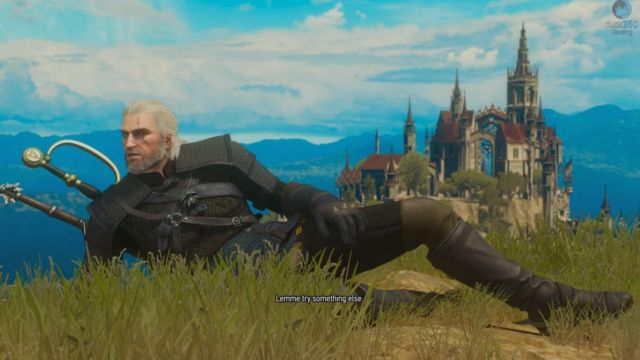 I really wanted to put the Oprah "Everybody gets bees" gif here, but I just couldn't find a version that would fit properly. So, here's a picture of a Witcher—literally "one who witches."