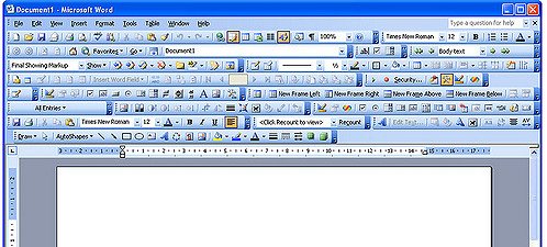 microsoft word document