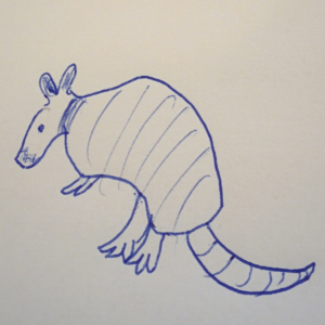 The official Armadillo logo, clearly done by one of Google's top artists. 