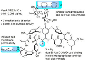 Three modifications to vancomycin's structure (shown in blue) give it new "mechanisms of action" for fighting infection. 