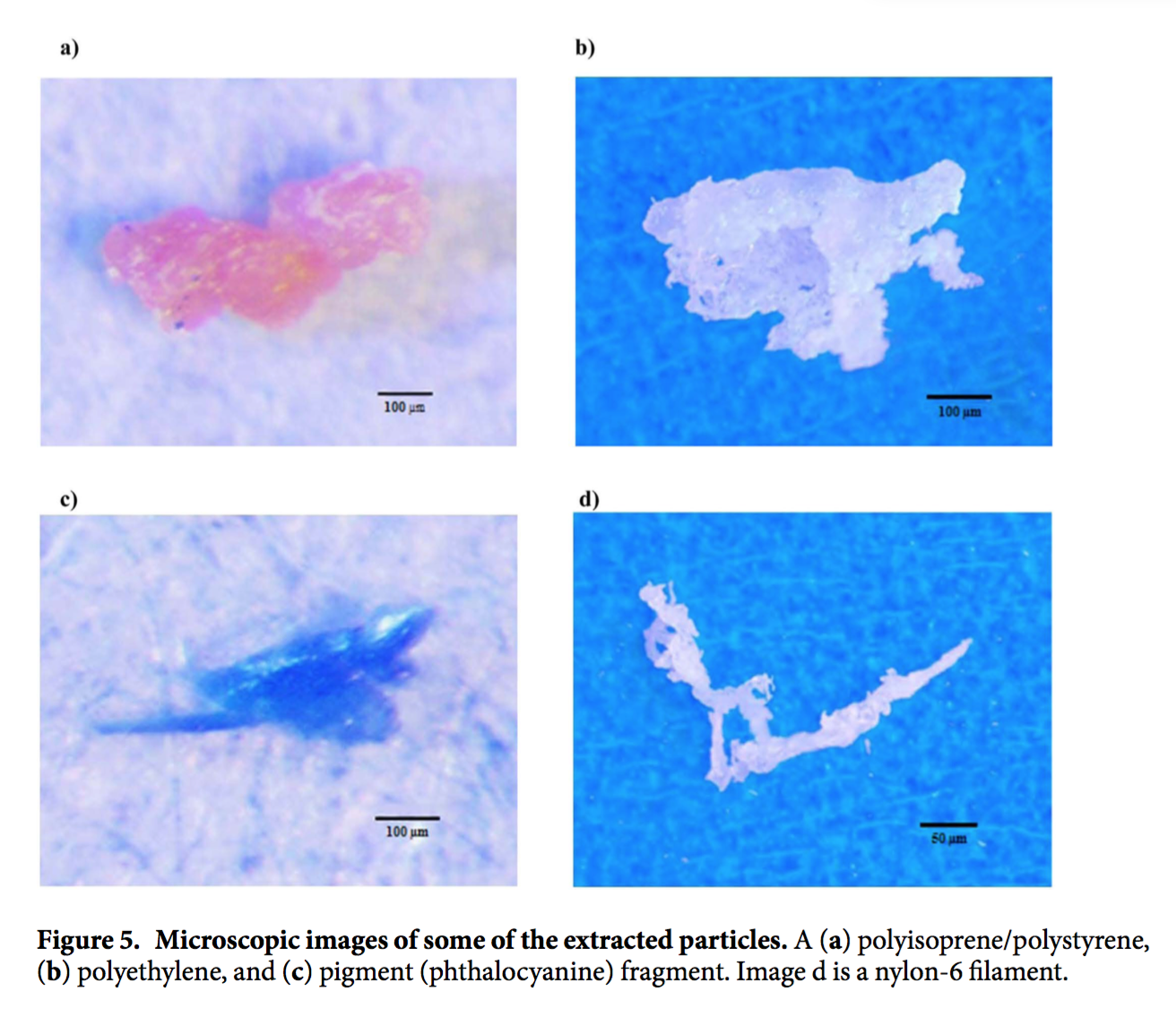 Image result for microplastics in salt