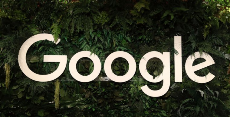 Yapraklar arasında büyük bir Google logosu görüntülenir.