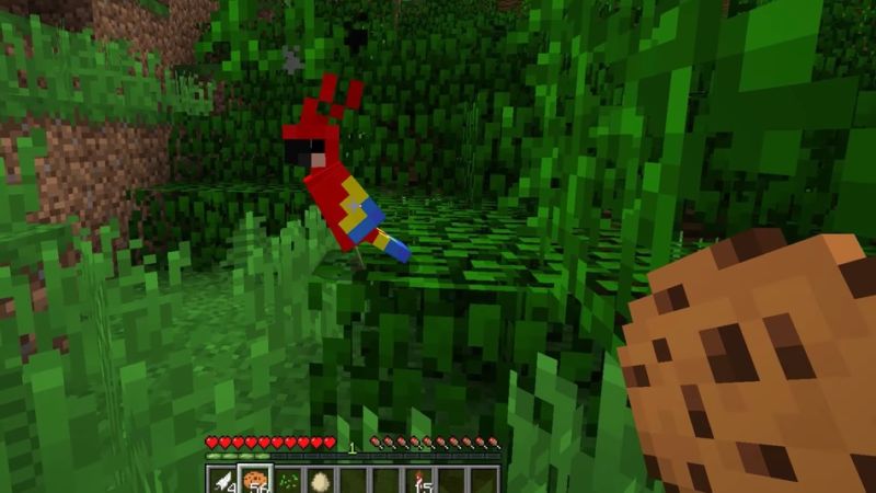 A <em>Minecraft</em> player approaches a parrot with a cookie that could be deadly in real life.