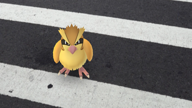 <em>Pokémon Go</em> wasn't the first to put virtual objects like this adorable Pidgey in the real world, but it's probably the best-known software to do so.