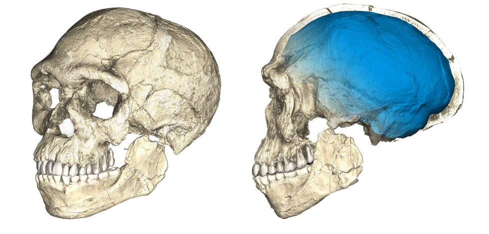 Figure-11-980x470.jpg