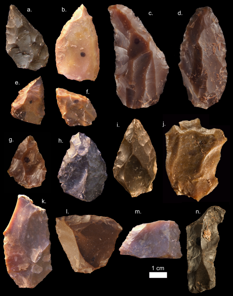Some of the Middle Stone Age stone tools from Jebel Irhoud. Pointed forms such as a-i are common in this period. Also characteristic are the so-called Levellois prepared core flakes.