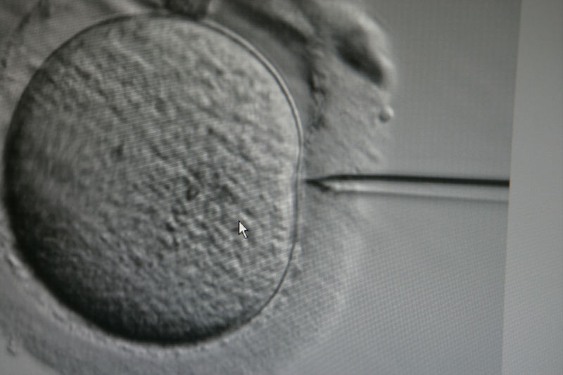 Report: Human embryo edited for first time in US, pushes limits