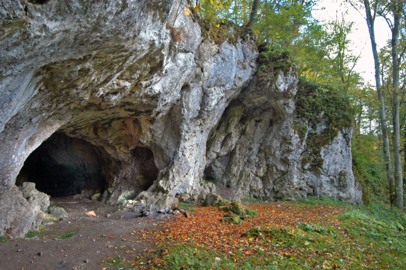 Neanderthal DNA Suggests Yet Another Wave Of Human Migration Out Of   Stadel Cave W Adler 800x532 