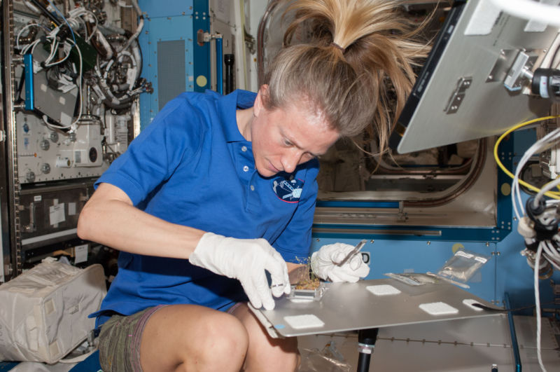 Karen Nyberg, of Expedition 37, works with a plant experiment in the Destiny laboratory of the space station.