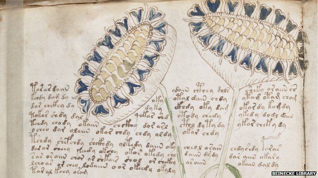 the voynich manuscript decoded