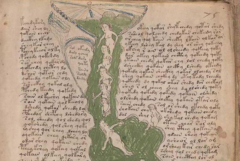 voynich manuscript pdf full