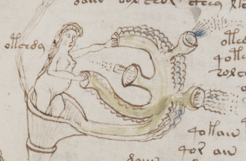 Roughly translated, many parts of the Voynich Manuscript say that women should take a nice bath if they are feeling sick. Here you can see a woman doing just that.
