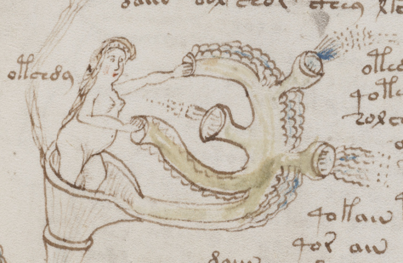 voynich manuscript art