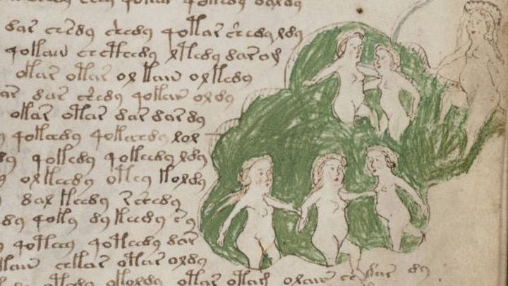 Voynich Manuscript Alien