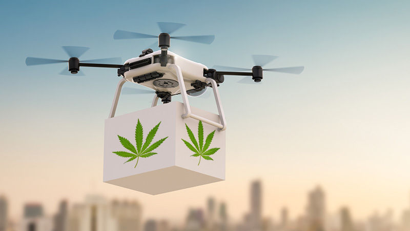 Cannabis Delivery In Las Vegas