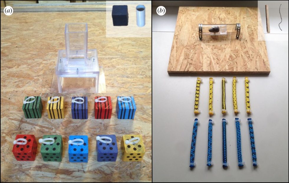 From the paper: (a) Block set: individuals must select a heavy block (weight corresponds with pattern) to insert into the opening of the box to collapse the platform inside. (b) Rope set: subjects must choose a rigid rope (rigidity corresponds with color) to push out the weighted box in the middle of the tube. Training objects for each set are shown in the insets of each image.