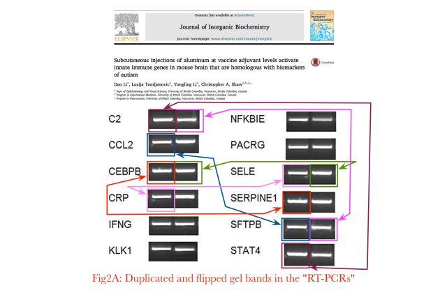 Duplicated and flipped data