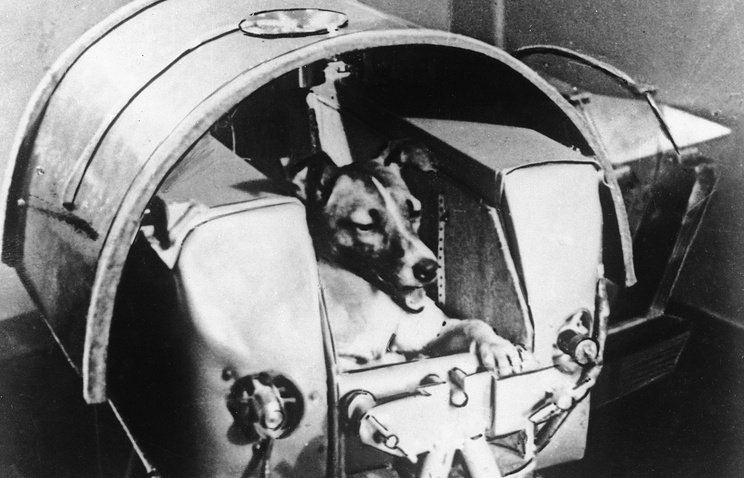 The first creature in space was a dog. She died miserably 60 years ago |  Ars Technica