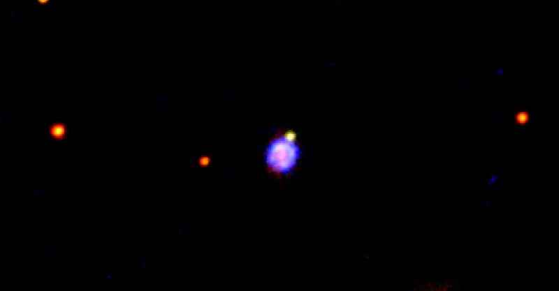 A more typical Type IIp supernova.