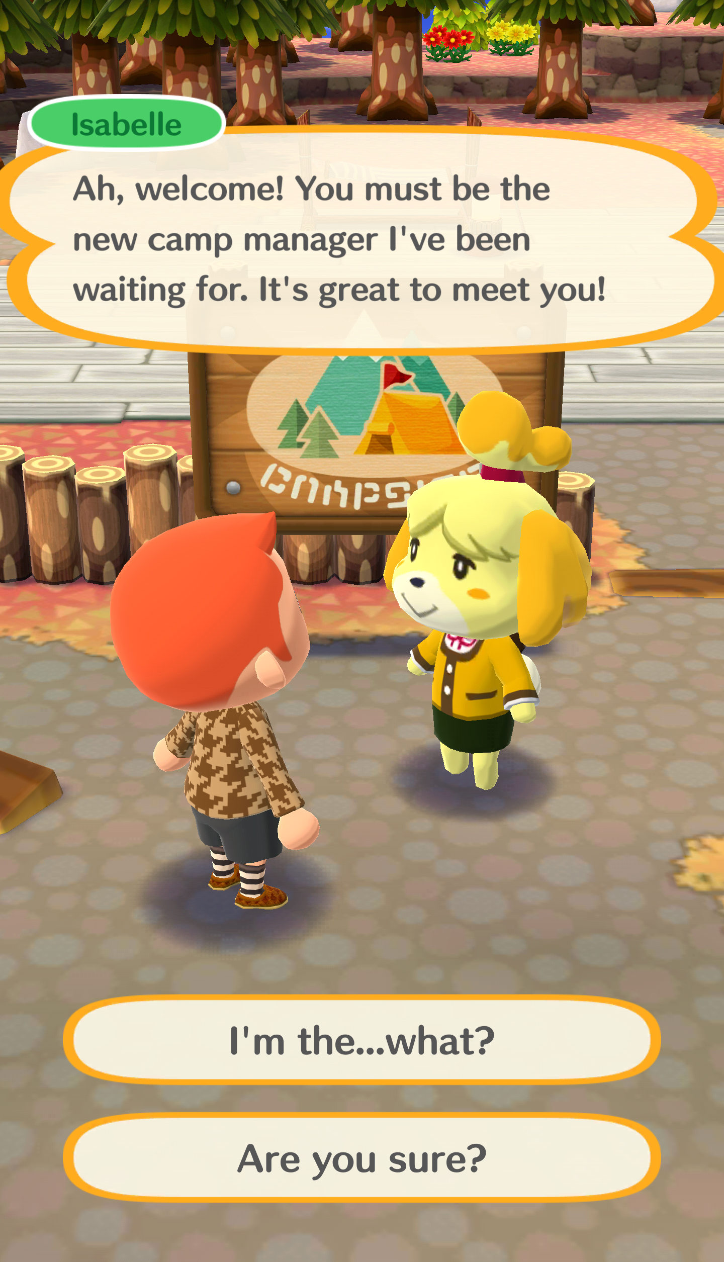 Animal Crossing: Pocket Camp