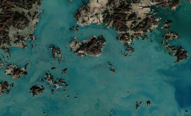 A satellite image shows seaweed farms off the coast of South Korea.