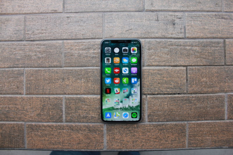 The iPhone X's display, with rounded edges and the sensor housing—also called the notch.