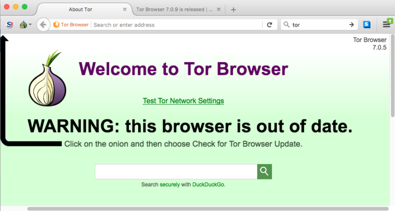 tor browser ip address hidra