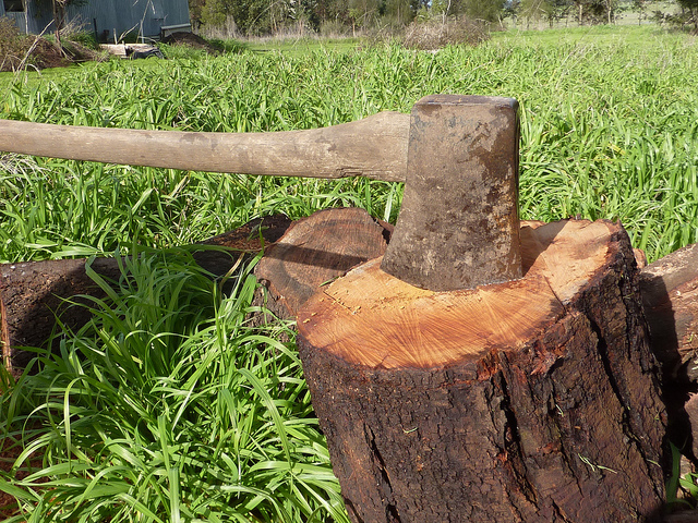 Man gets gruesome fungal lesion after snipping pimple with dirty wood tools