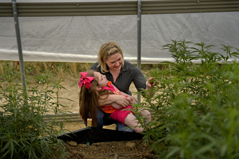 COLORADO SPRINGS, CO. - August 05, 2014: Janea Cox director of the Flowering H.O.P.E. Foundation, with her daughter Haleigh, who was diagnosed with Lennox-Gastaut syndrome, looks at the plants that make Haleigh's Hope, a cannabis oil high in cannabidiol, or CBD, that is helping  control her seizures. 