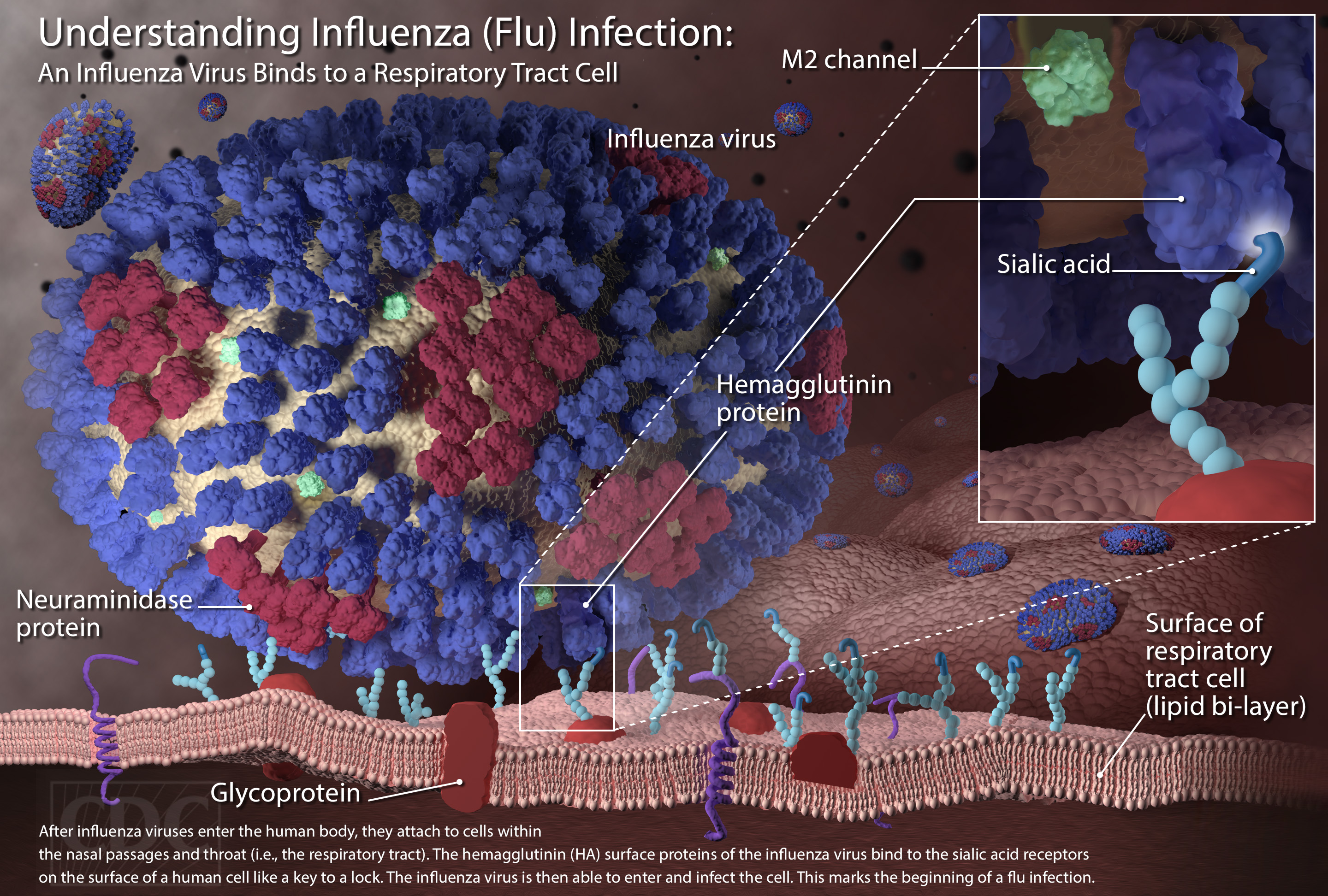 looks-like-a-rough-flu-season-ahead-here-are-answers-to-all-your-flu