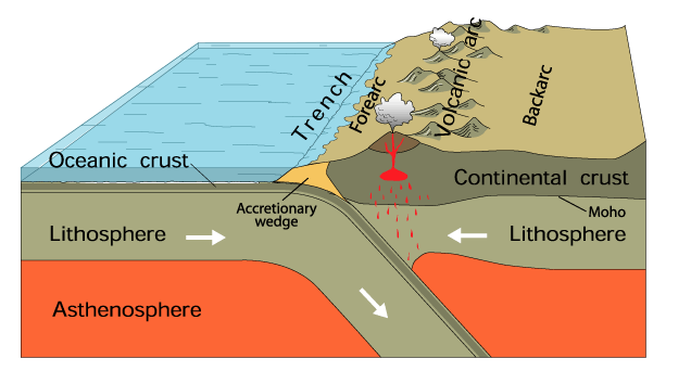 The tectonic plate boundary known as a subduction zone, where an oceanic plate dives under another plate.