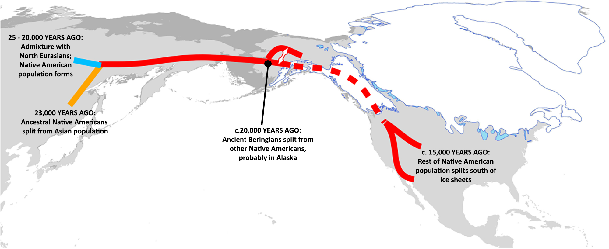 11-000-year-old-child-s-skeleton-tells-tale-of-native-american-origins