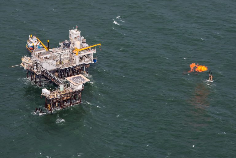 Morska fauna w niebezpieczeństwie