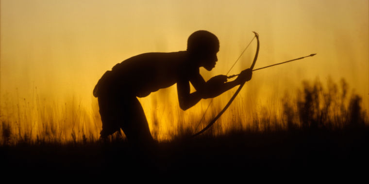 photo of For new form of male birth control, scientists turn to poison arrows image