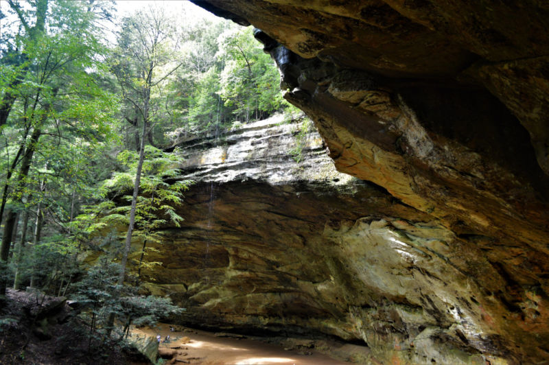 At Ash Cave in Ohio, archaeologists discovered an enormous cache of seeds from lost crops, including domesticated native goosefoot (similar to quinoa). These seeds were so far from their wild habitats that they had clearly been domesticated.