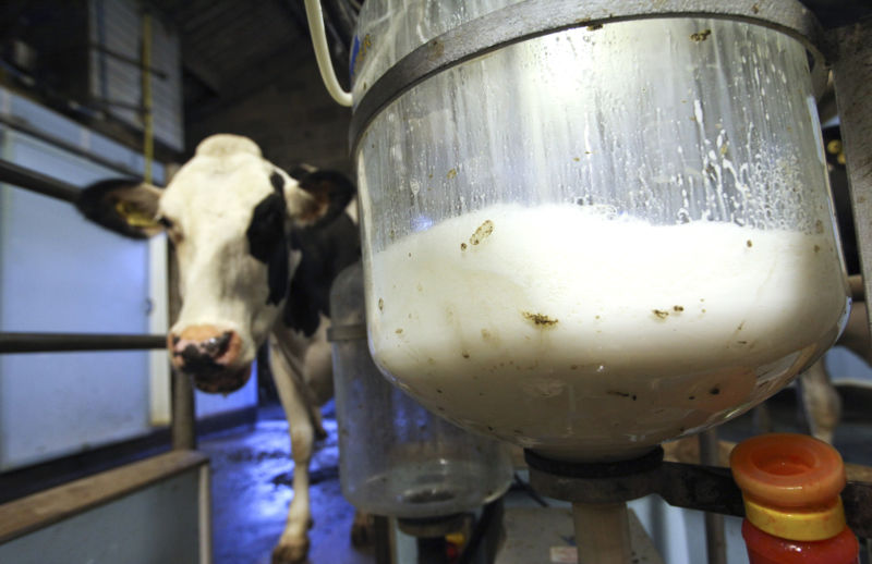 Raw milk is trending for some reason—so are nasty, drug-resistant