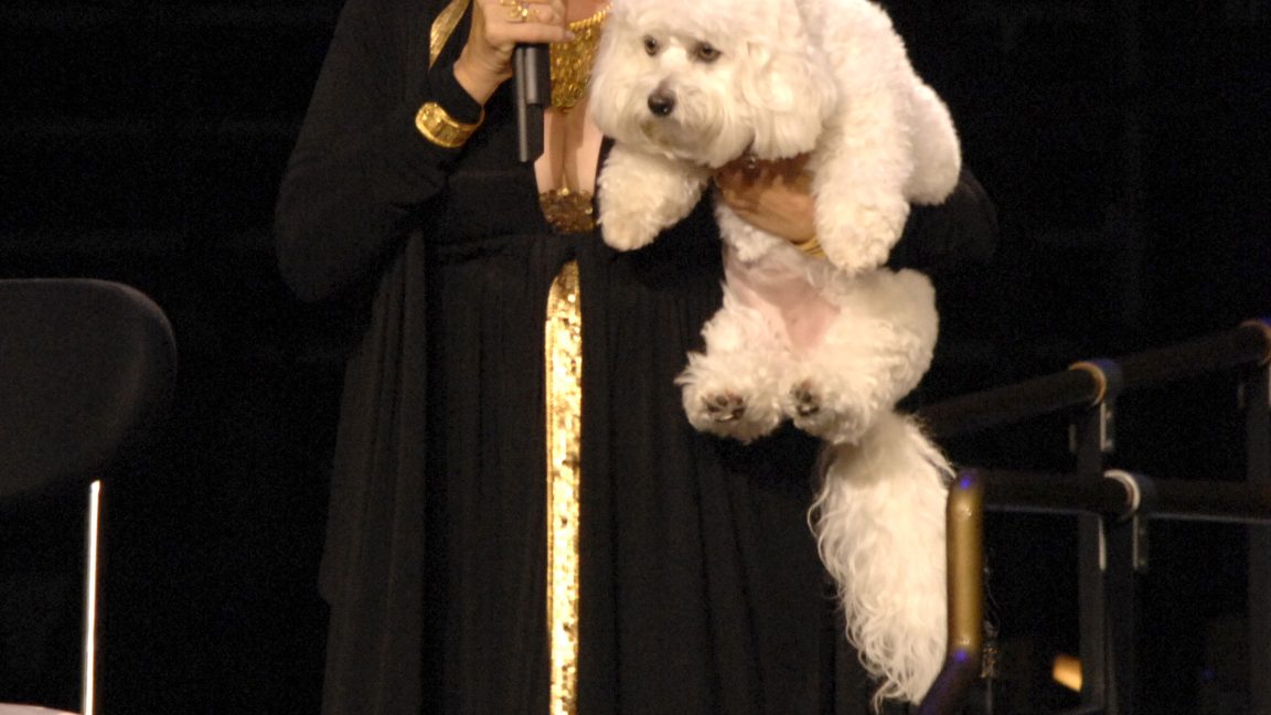 Ruff replicas: Barbra Streisand cloned her dog—with mixed results - Ars ...
