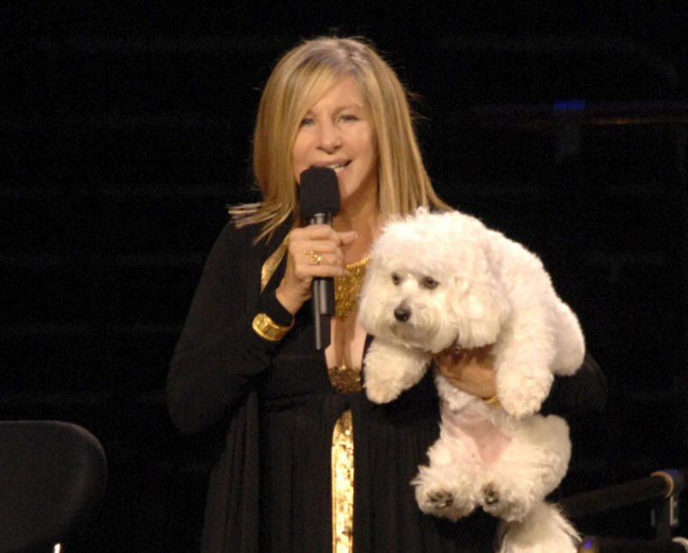 Barbra Streisand and her original dog Sammie (Samantha) in 2006.