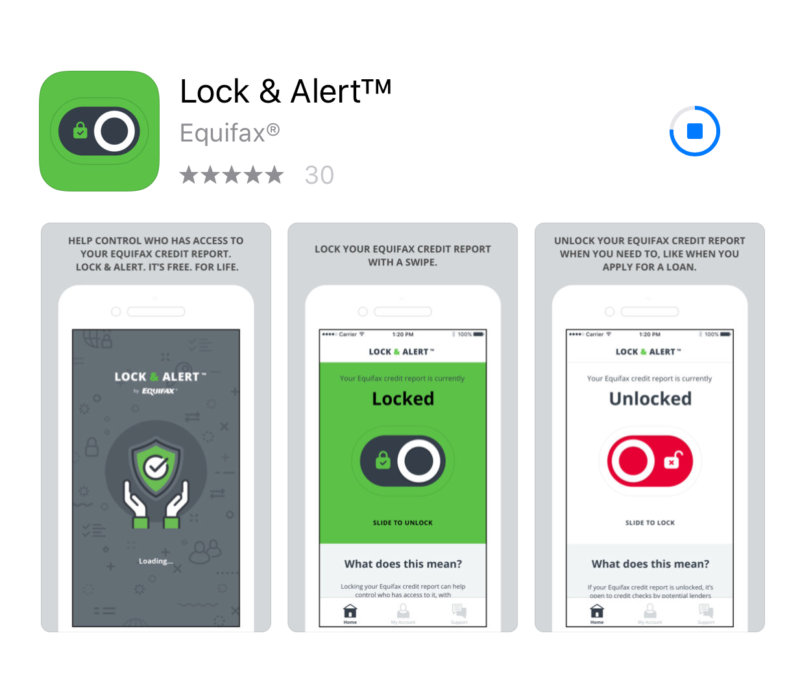 equifax lock and alert