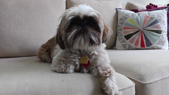 Four AI composition tools easy enough to soundtrack your home movie ...