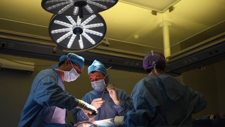 Listing image for first story in Most Read: Florida surgeon charged with killing man after removing liver instead of spleen