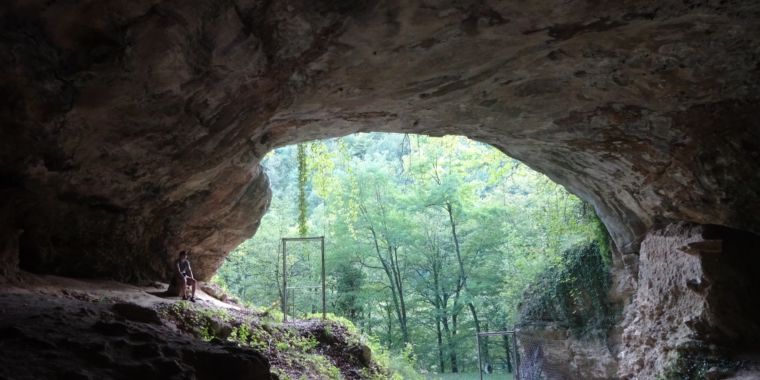Five new ancient genomes tell us about Neanderthal tribes