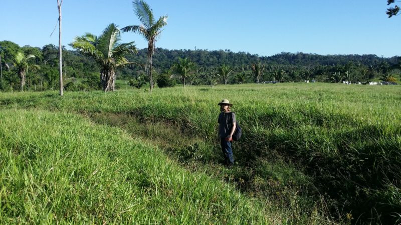 The Supposedly Pristine, Untouched  Rainforest Was Actually Shaped By  Humans, Science