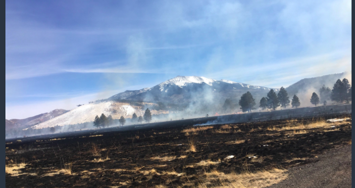 Drone crashes in Arizona National Forest, starts a wildfire