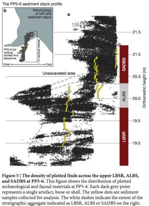 This model shows density of human occupation layers before and after the glass shards deposited from the Toba eruption, which are in the gray ALBS layer. Note that we see a greater density of artifacts after the eruption. 