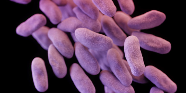 Deadly superbug just got scarier – it can mysteriously thwart last-resort drug