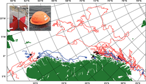 Different float designs can follow radically different paths across the oceans.