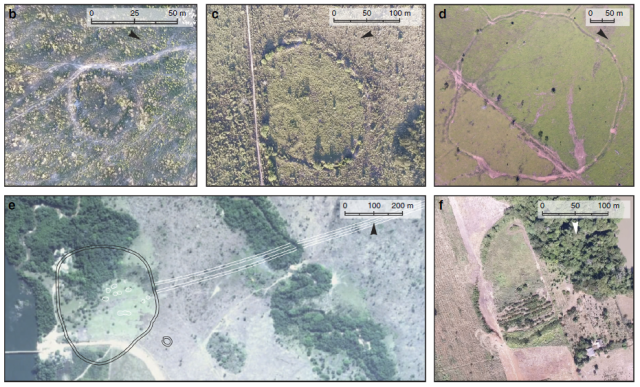 Network of fortified towns indicates Amazon was once heavily populated ...